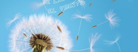 En Internet las palabras no se las lleva el viento.